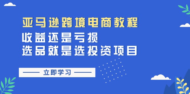 （11432期）亚马逊跨境电商教程：收益还是亏损！选品就是选投资项目-网创空间