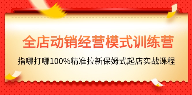 （11460期）全店动销-经营模式训练营，指哪打哪100%精准拉新保姆式起店实战课程-网创空间