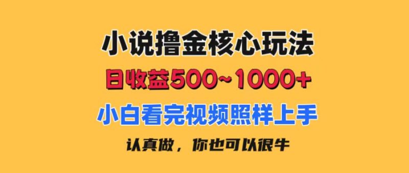（11461期）小说撸金核心玩法，日收益500-1000+，小白看完照样上手，0成本有手就行-网创空间