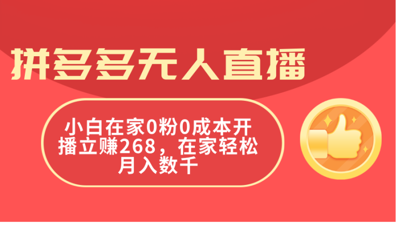 (11521期)拼多多无人直播,小白在家0粉0成本开播立赚268,在家轻松月入数千-网创空间