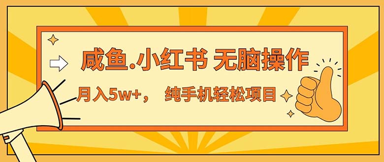 （11524期）2024最赚钱的项目，咸鱼，小红书无脑操作，每单利润500+，轻松月入5万+…-网创空间