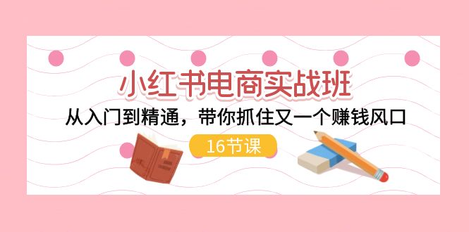 （11533期）小红书电商实战班，从入门到精通，带你抓住又一个赚钱风口（16节）-网创空间