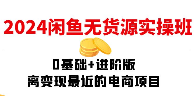 （11535期）2024闲鱼-无货源实操班：0基础+进阶版，离变现最近的电商项目（15节）-网创空间