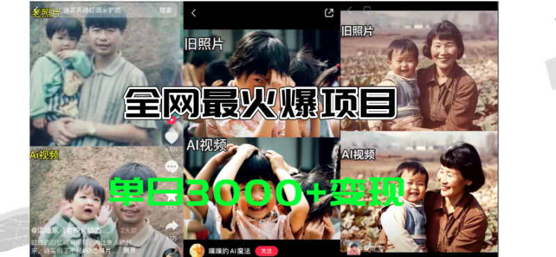 （11546期）全网爆火的AI让老照片动起来教程，蹭热点日赚3000+，内含免费工具一键…-网创空间
