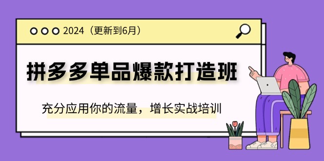 （11556期）2024拼多多-单品爆款打造班(更新6月)，充分应用你的流量，增长实战培训-网创空间
