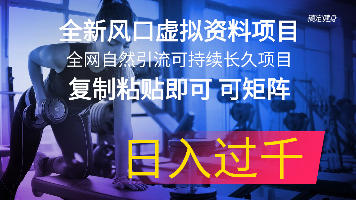 （11587期）全新风口虚拟资料项目 全网自然引流可持续长久项目 复制粘贴即可可矩阵…-网创空间