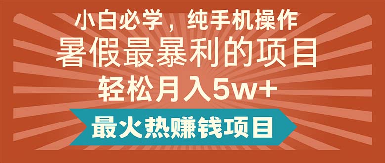 （11583期）小白必学，纯手机操作，暑假最暴利的项目轻松月入5w+最火热赚钱项目-网创空间