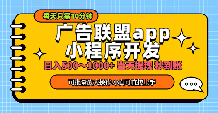 （11645期）小程序开发 广告赚钱 日入500~1000+ 小白轻松上手！-网创空间