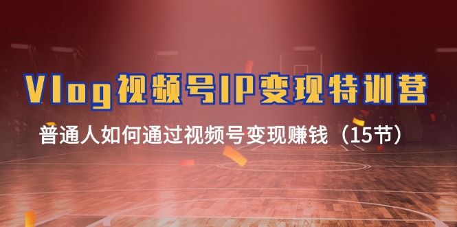 （11654期）Vlog 视频号IP变现特训营，普通人如何通过视频号变现赚钱（15节）-网创空间