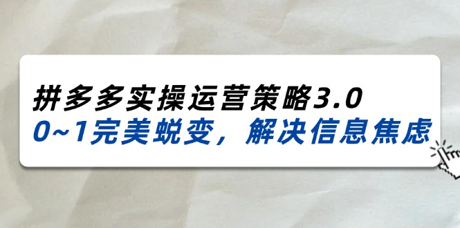 （11658期）2024_2025拼多多实操运营策略3.0，0~1完美蜕变，解决信息焦虑（38节）-网创空间