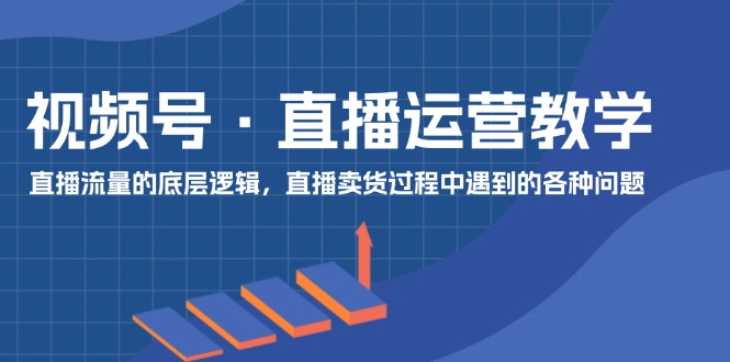 （11687期）视频号 直播运营教学：直播流量的底层逻辑，直播卖货过程中遇到的各种问题-网创空间