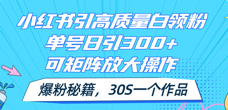 （11692期）小红书引高质量白领粉，单号日引300+，可放大操作，爆粉秘籍！30s一个作品-网创空间