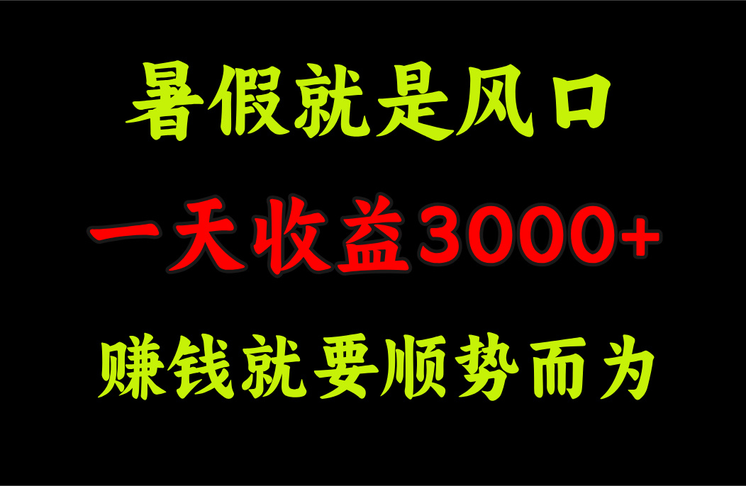 （11670期）一天收益3000+ 赚钱就是顺势而为，暑假就是风口-网创空间