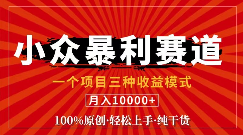 （11695期）视频号【中老年粉深信不疑】小众赛道 100%原创 手把手教学 新号3天收益…-网创空间