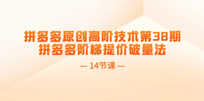 （11704期）拼多多原创高阶技术第38期，拼多多阶梯提价破量法（14节课）-网创空间