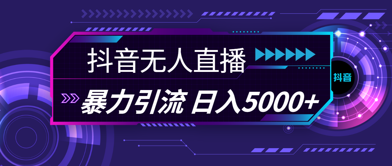 （11709期）抖音无人直播，暴利引流，日入5000+-网创空间