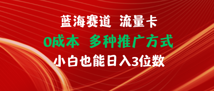 （11768期）蓝海赛道 流量卡 0成本 小白也能日入三位数-网创空间