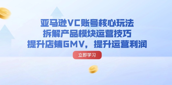 （11848期）亚马逊VC账号核心玩法，拆解产品模块运营技巧，提升店铺GMV，提升运营利润-网创空间