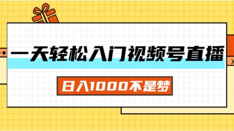 （11906期）一天入门视频号直播带货，日入1000不是梦-网创空间