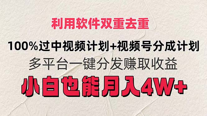 （11862期）利用软件双重去重，100%过中视频+视频号分成计划小白也可以月入4W+-网创空间