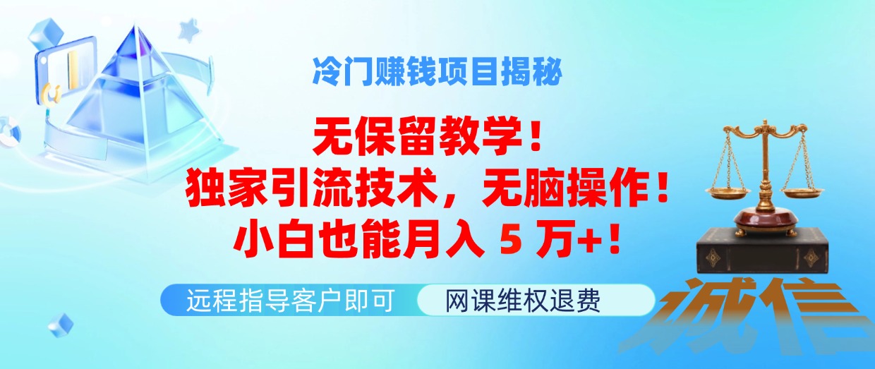 （11864期）冷门赚钱项目无保留教学！独家引流技术，无脑操作！小白也能月入5万+！-网创空间