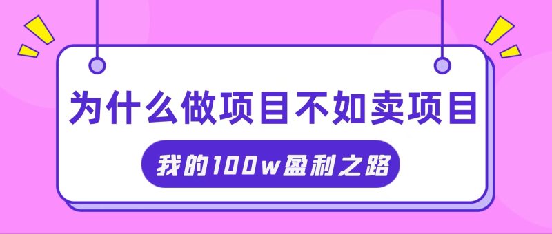（11893期）抓住互联网创业红利期，我通过卖项目轻松赚取100W+-网创空间