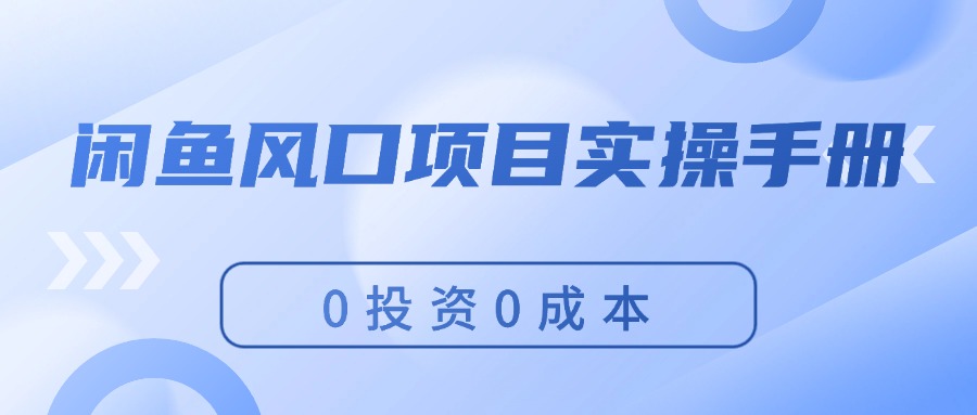 （11923期）闲鱼风口项目实操手册，0投资0成本，让你做到，月入过万，新手可做-网创空间