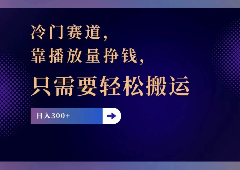（11965期）冷门赛道，靠播放量挣钱，只需要轻松搬运，日赚300+-网创空间