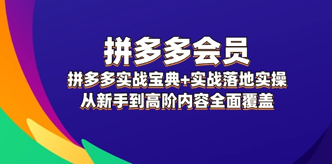 （12056期）拼多多 会员，拼多多实战宝典+实战落地实操，从新手到高阶内容全面覆盖-网创空间