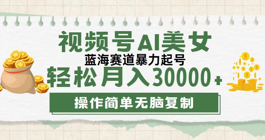（12087期）视频号AI美女跳舞，轻松月入30000+，蓝海赛道，流量池巨大，起号猛，无…-网创空间
