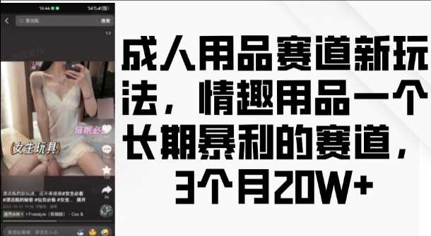 成人用品赛道新玩法，情趣用品一个长期暴利的赛道，3个月收益20个【揭秘】-网创空间