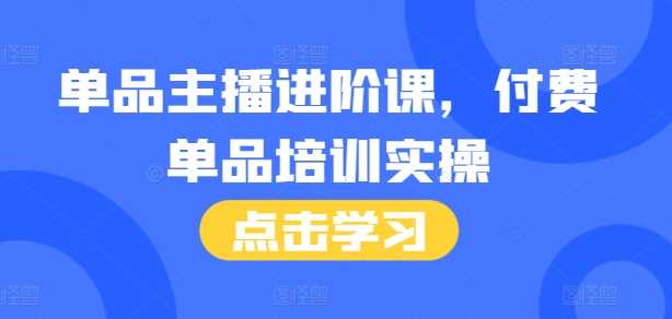 单品主播进阶课，付费单品培训实操，46节完整+话术本-网创空间