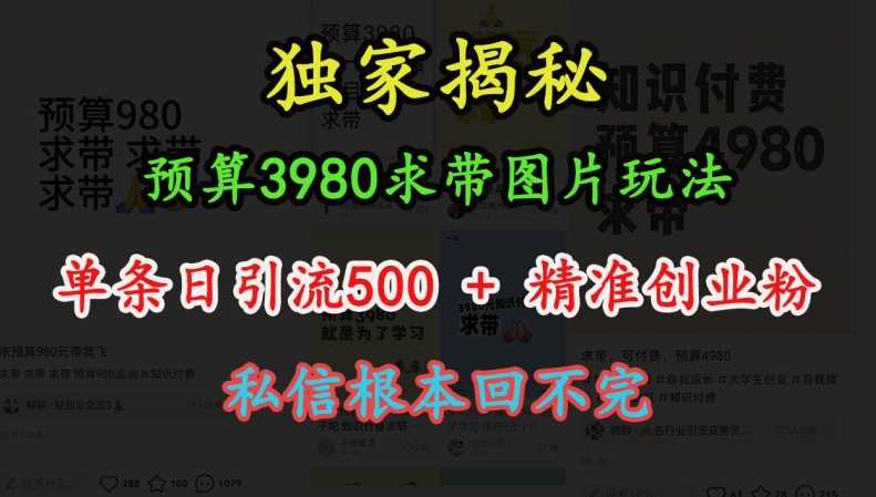 预算3980求带 图片玩法，单条日引流500+精准创业粉，私信根本回不完-网创空间