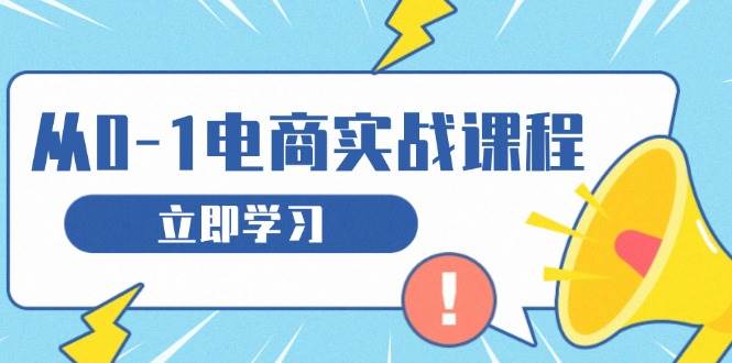 （13594期）从零做电商实战课程，教你如何获取访客、选品布局，搭建基础运营团队-网创空间