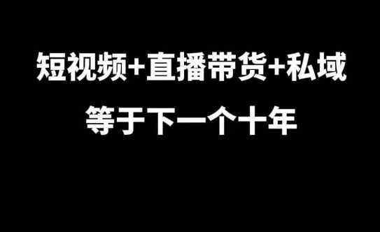 短视频+直播带货+私域等于下一个十年，大佬7年实战经验总结-网创空间