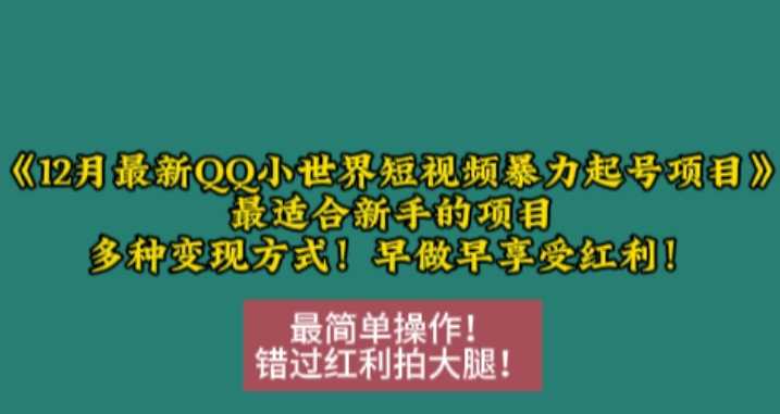 12月最新QQ小世界短视频暴力起号项目，最适合新手的项目，多种变现方式-网创空间