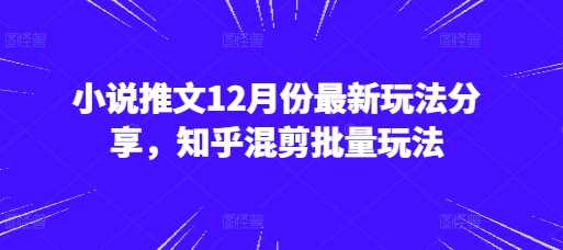 小说推文12月份最新玩法分享，知乎混剪批量玩法-网创空间