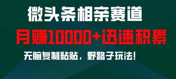 微头条相亲赛道，迅速积累，无脑复制粘贴，野路子玩法，月入1w-网创空间