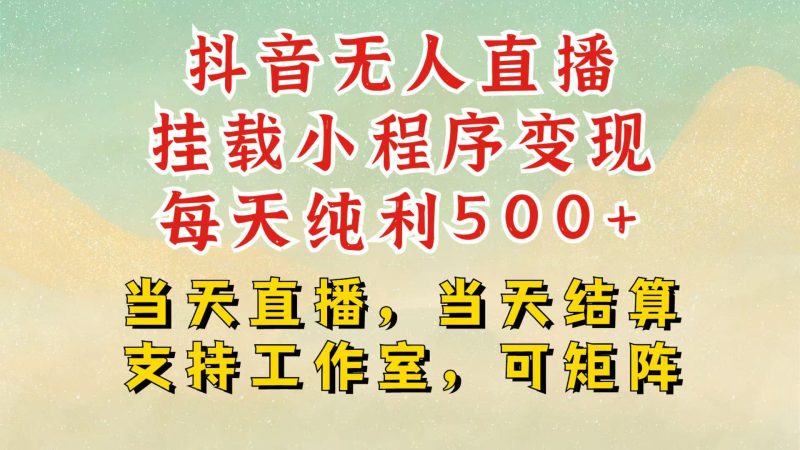 抖音无人挂机项目，轻松日入500+,挂载小程序玩法，不违规不封号，有号的一定挂起来-网创空间
