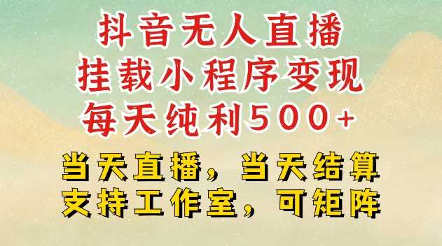 抖音无人直播挂载小程序变现每天纯利500+当天直播，当天结算支持工作室，可矩阵【揭秘】-网创空间