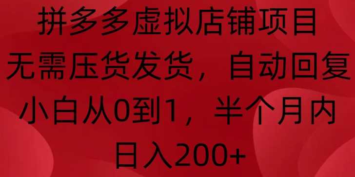 拼多多虚拟店铺项目，无需压货发货，自动回复，小白从0到1，半个月内日入200+【揭秘】-网创空间