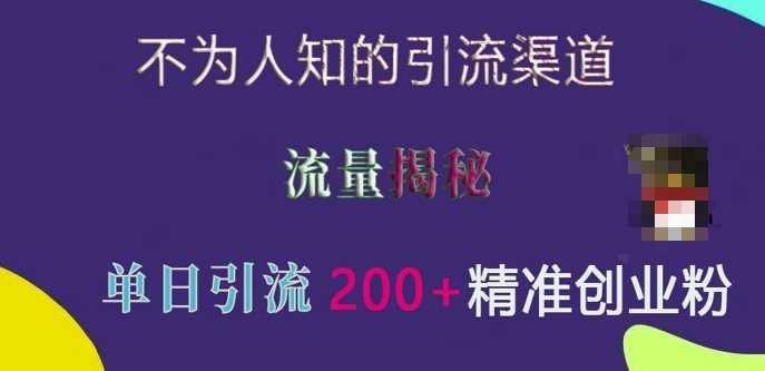 不为人知的引流渠道，流量揭秘，实测单日引流200+精准创业粉【揭秘】-网创空间
