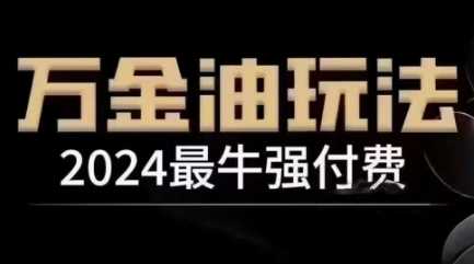 2024最牛强付费，万金油强付费玩法，干货满满，全程实操起飞（更新12月）-网创空间