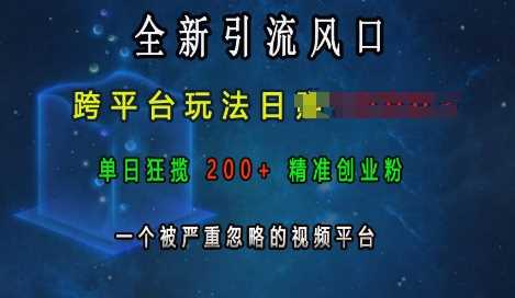 全新引流风口，跨平台玩法日入上k，单日狂揽200+精准创业粉，一个被严重忽略的视频平台-网创空间