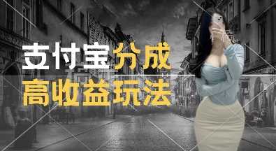 支付宝分成计划新玩法，利用交通事故视频，赚收益，轻松月入过W，操作简单【揭秘】-网创空间