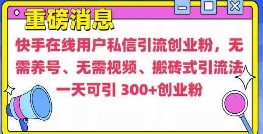 快手最新引流创业粉方法，无需养号、无需视频、搬砖式引流法【揭秘】-网创空间