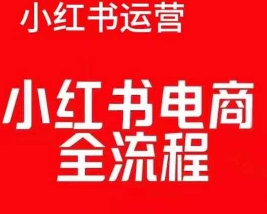 红薯电商实操课，小红书电商全流程-网创空间