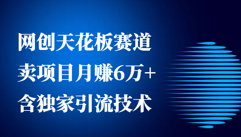网创天花板赛道，卖项目月赚6万+，含独家引流技术（共26节课）-网创空间