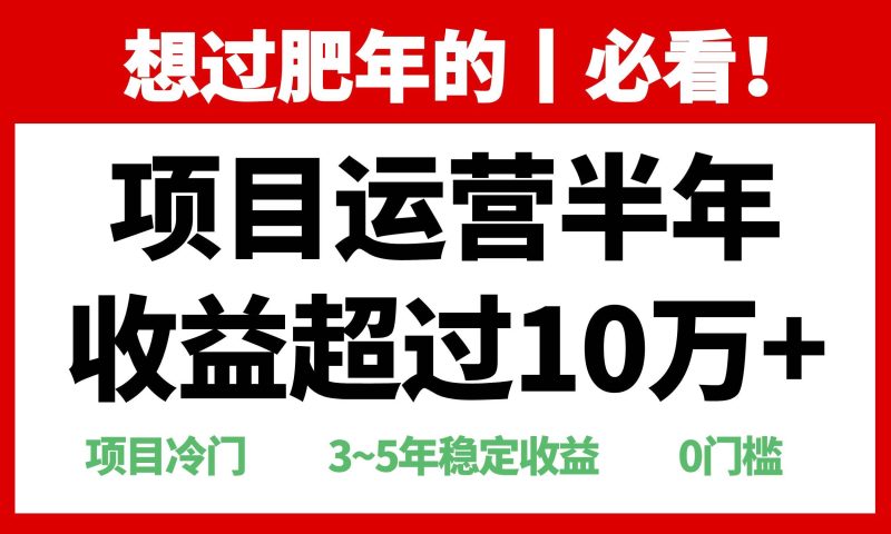 (13663期)年前过肥年的必看的超冷门项目,半年收益超过10万+,-网创空间