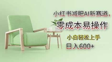 小红书减肥AI新赛道，零成本易操作，日入多张，小白轻松上手【揭秘】-网创空间